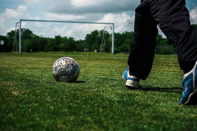 季后赛资格 季后赛资格