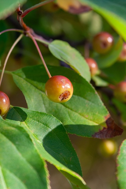 切入禁区 切入禁区