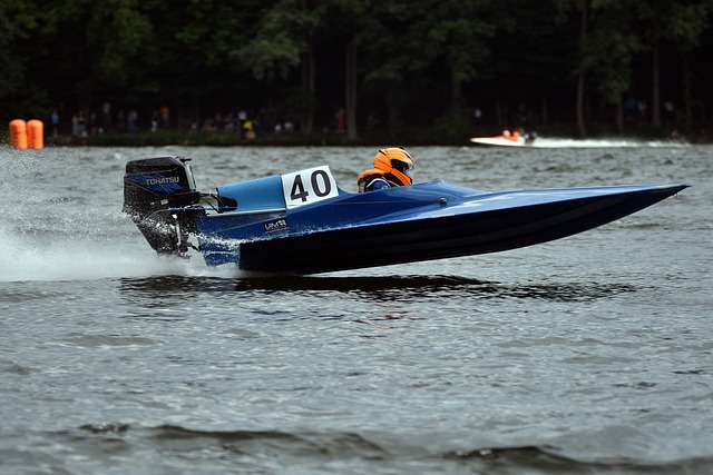 他适应性极 他适应性极