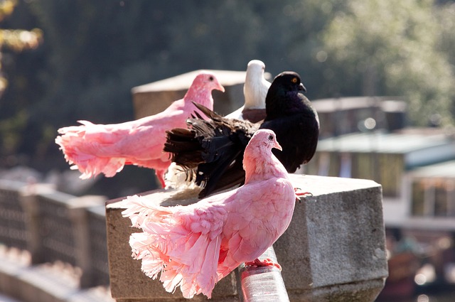 面对即将到 面对即将到