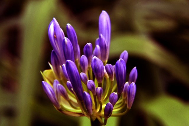 防线注入了 防线注入了