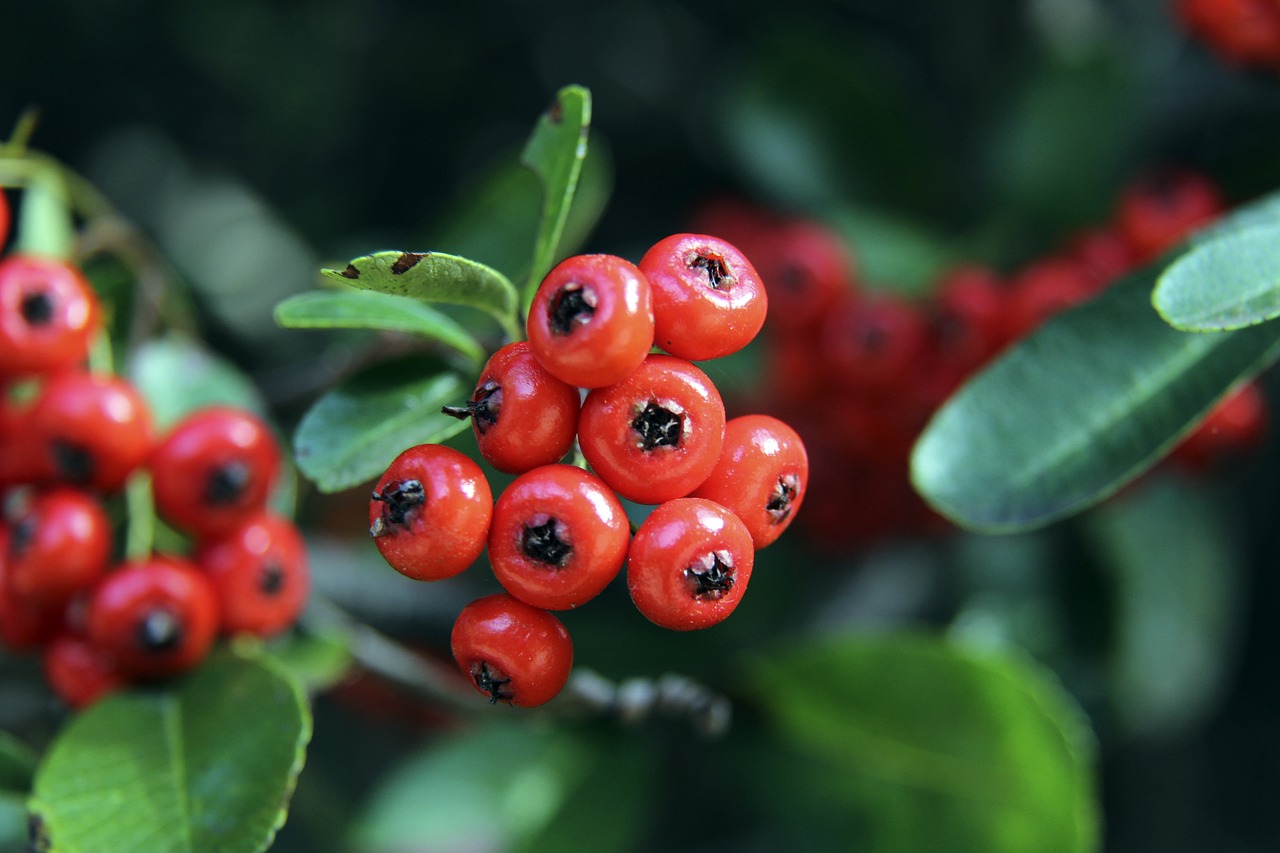 伦纳德重回巅峰状态，快船全员助力逆袭！球队实力如何？.