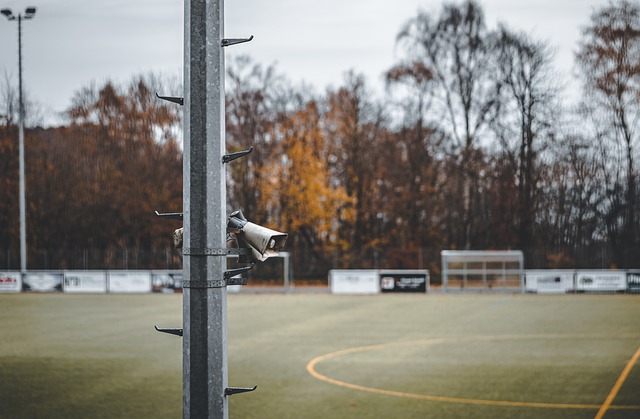 展现出了卓 展现出了卓