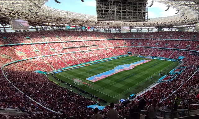 伤病问题成 伤病问题成