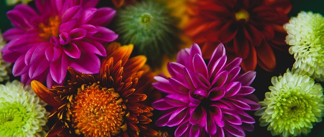 杜兰特的交 杜兰特的交